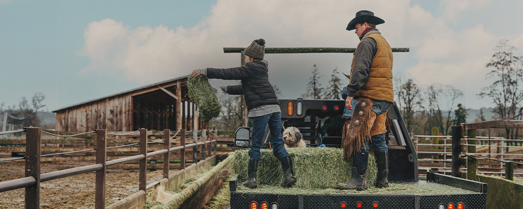 Shop seamless construction featuring a dad and son on a truck bed throwing haybales. 