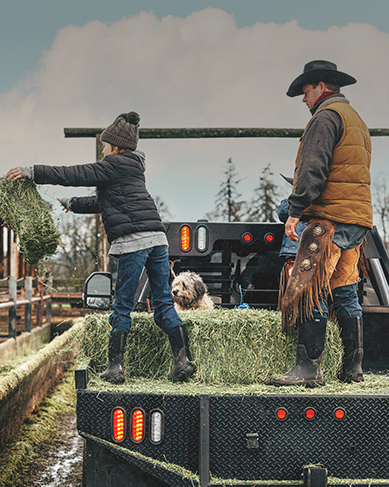 Shop seamless construction featuring a dad and son on a truck bed throwing haybales. 