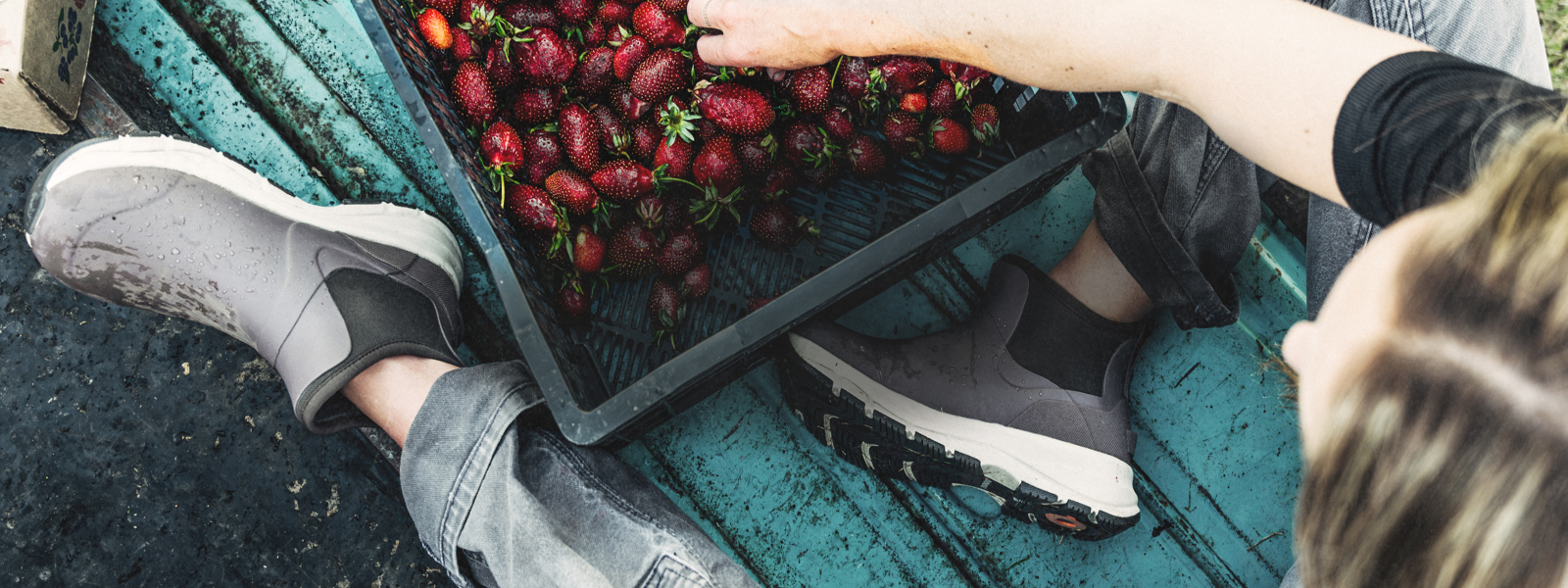 Shop the Spruce collection featuring the Spruce Low next to a basket of fresh strawberries.