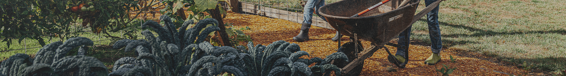Image features a woman walking with a wheelbarrow in the Harper Chelsea in Kiwi.