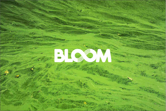 The image shown is an overhead view of algae. To provide context of the algae, the copy is as followed cleaning lakes & rivers every step of the way. BOGS is partnering with BLOOM to integrate algae-based EVA footbeds across our entire line. These replace the petroleum-based plastic foam found in most boots and athletic shoes. BLOOM has their own mission, which we're excited to be a part of: cleaner air and lakes, rivers, and streams.