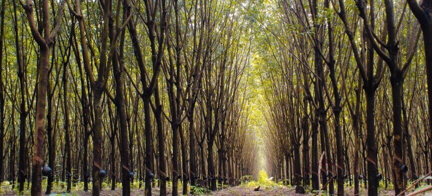 Learn More about our Bootprint and what we are doing to decrease our carbon foot print.  We are taking serious steps to use more earth friendly materials, reducing our waste and increasing our use of energy from renewable resources.